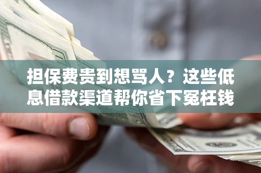 济南担保费贵到想骂人？这些低息借款渠道帮你省下冤枉钱