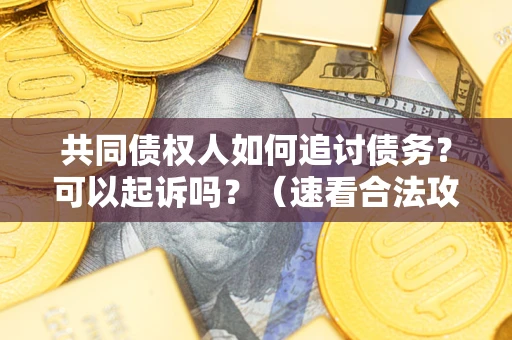 济南共同债权人如何追讨债务？可以起诉吗？（速看合法攻略）